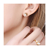 Resin & Wood Cabochons X-RESI-S358-70-7