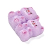 Resin Cabochons RESI-R456-06D-2