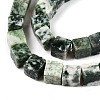 Natural Green Spot Jasper Beads Strands G-T139-6x6-23A-3