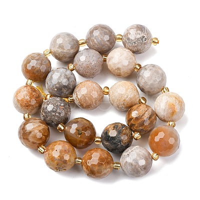 Natural Fossil Coral Beads Strands G-C249-A27-16MM-1