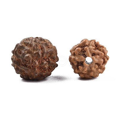 Undyed Natural Rudraksha Beads WOOD-T030-01-1