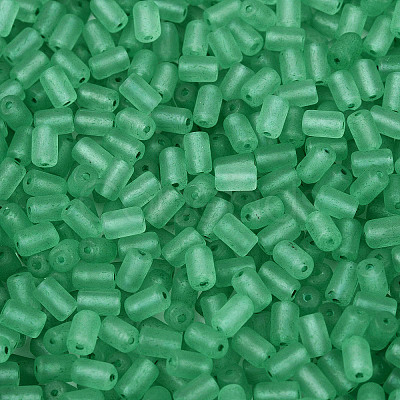 FGB Frosted Transparent Glass Seed Beads SEED-N013-05A-09-1