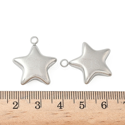 304 Stainless Steel Pendants STAS-S186-01B-P-1