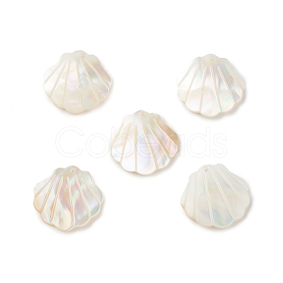 Natural Sea Shell Pendants X-SSHEL-T012-11-1