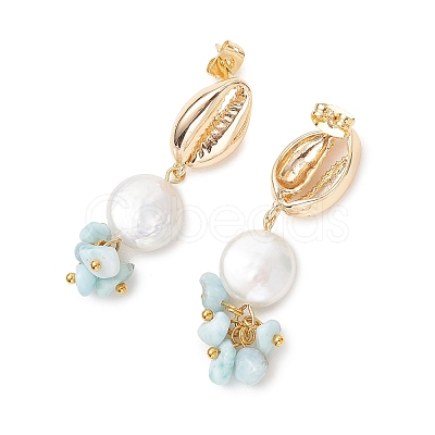 Shell Shape Natural Larimar Dangle Stud Earrings EJEW-JE07054-1