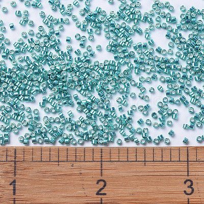 MIYUKI Delica Beads X-SEED-J020-DB0427-1