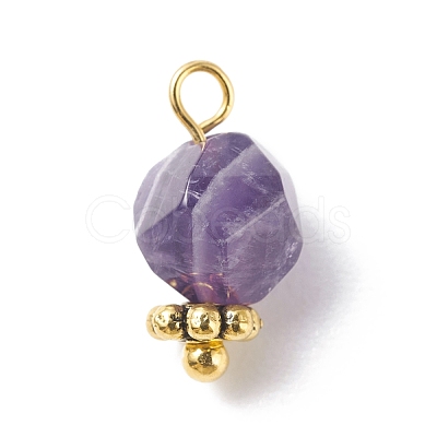 Chakra Theme Natural Tiger Eye & Rose Quartz & Amethyst & Topaz Jade & Red Agate & Amazonite & Sodalite Charms PALLOY-JF01187-1