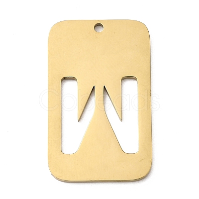 304 Stainless Steel Pendants STAS-D200-01W-G-1