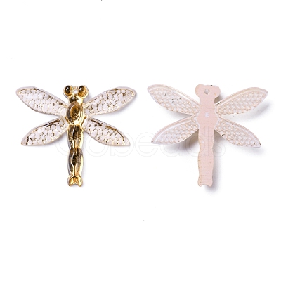 Transparent Resin Pendants RESI-WH0020-020A-1