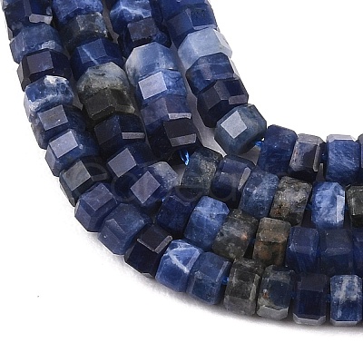 Natural Sodalite Beads Strands G-G345-C31-2x4mm-1