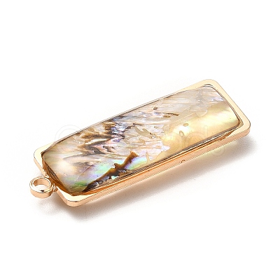 Brass Enamel Pendants KK-K252-10G-05-1