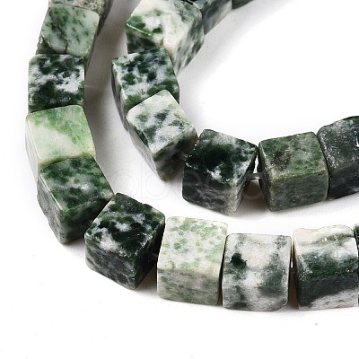 Natural Green Spot Jasper Beads Strands G-T139-6x6-23A-1