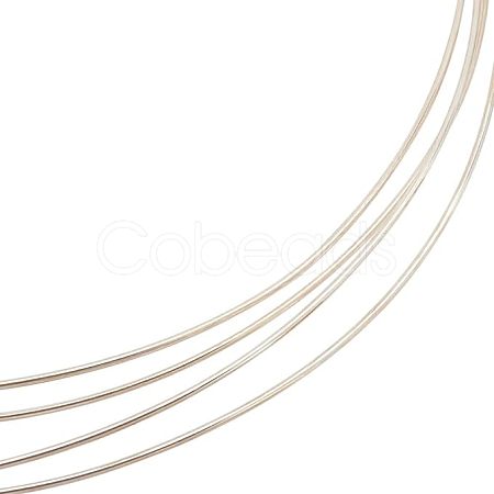 1Pc 999 Fine Silver Wire STER-BC0001-66B-1