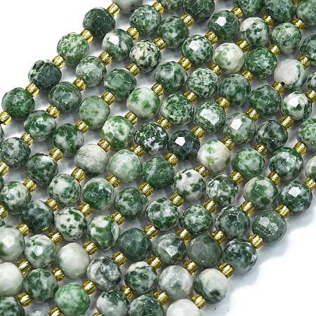 Natural Green Spot Jasper Beads Strands G-K389-E64-01-1