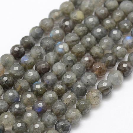 Natural Labradorite Beads Strands G-P322-30-6mm-1