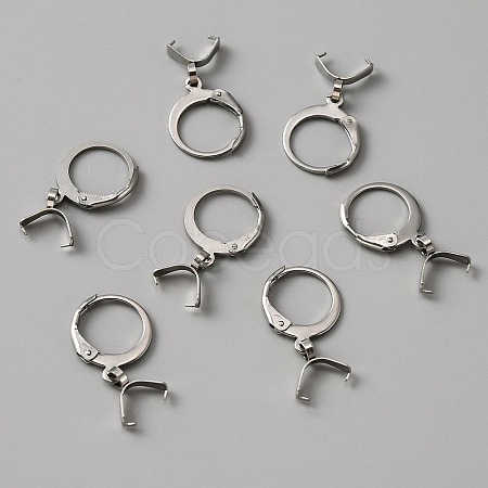 304 Stainless Steel Leverback Earring Finding LS-STAS-WH0022-87P-1