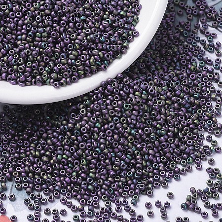 MIYUKI Round Rocailles Beads X-SEED-G007-RR2019-1