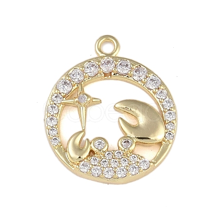 Brass Micro Pave Clear Cubic Zirconia Pendants FIND-B077-02G-12-1