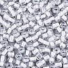 6/0 Glass Seed Beads SEED-A015-4mm-2201-2