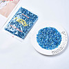 Glass Seed Beads SEED-S059-004-2