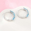 Brass Micro Pave Cubic Zirconia Hoop Earrings KK-CBA8324-12P-01-3