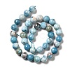 Natural Gemstone Beads Strands G-F730-02C-3