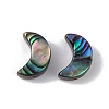 Natural Abalone Shell/Paua Shell Beads SSHEL-M021-05-2