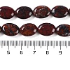 Natural Brecciated Jasper Beads Strands G-H029-A01-01-5