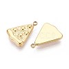 304 Stainless Steel Charms STAS-N109-255G-2