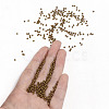 11/0 FGB Grade A Baking Paint Glass Seed Beads X-SEED-N001-A-1038-4