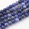 Natural Sodalite Bead Strands G-G735-58-8mm-A-1