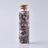 Glass Wishing Bottle DJEW-L013-A20-1