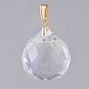 Glass Pendants PALLOY-JF00445-03-3