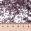 MIYUKI Round Rocailles Beads SEED-X0056-RR2402-4