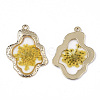 Epoxy Resin Pendants X-RESI-T045-028F-3