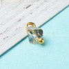 Electroplate Glass Charms PALLOY-JF00821-05-3
