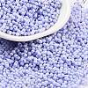 Baking Paint Glass Seed Beads SEED-A033-04H-1