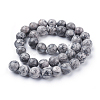Natural Map Stone/Picasso Stone/Picasso Jasper Beads Strands X-G-G047-10mm-2