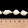 Natural Trochid Shell/Trochus Shell Beads Strands X-BSHE-A002-07-4