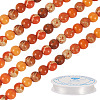 DIY Natural Regalite/Imperial Jasper/Sea Sediment Jasper Beads Bracelets  Making KIts DIY-TA0002-69B-3