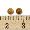Natural Picture Jasper Cabochons G-H309-03-56-3