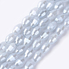 Electroplate Glass Beads Strands EGLA-J013-4X6mm-F04-1