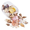 Mixed Shell Beads BSHE-TA0002-05-4