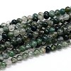 Natural Moss Agate Round Bead Strands G-J303-07-6mm-1