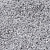 MIYUKI Delica Beads Small SEED-X0054-DBS0252-3