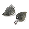 Natural Labradorite Heart Pendants G-H073-03P-08-2