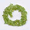 Natural Peridot Beads Strands X-G-J119-04-2