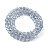 Electroplate Glass Beads Strands EGLA-D031-01-03-3