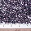 MIYUKI Round Rocailles Beads X-SEED-G007-RR0171-4