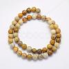 Natural Fossil Coral Beads Strands G-G697-F01-6mm-2